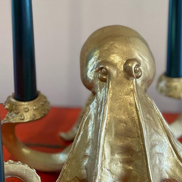 Gold Octopus Grumpy Face Close Up